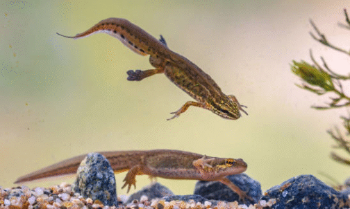 24AEB10F-A086-4B6C-A154-9BC152F02A51