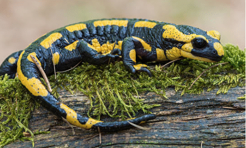 2D80B995-9A8A-4758-BF41-9F424F06B562