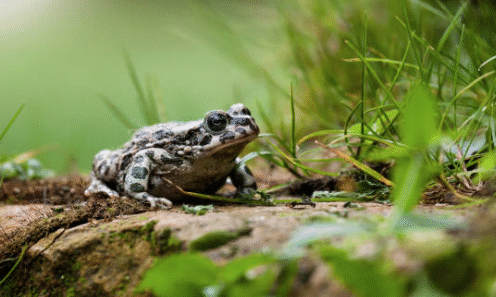 9556DEBF-F3FE-4FDD-98CB-1051C3BBA617