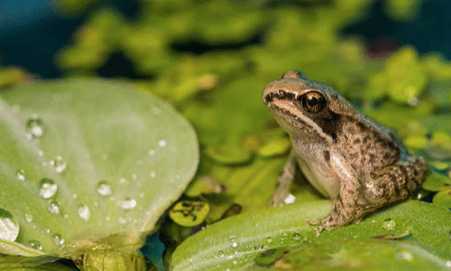 F830580C-3AC4-40CD-9D54-52EC5DF5E66D